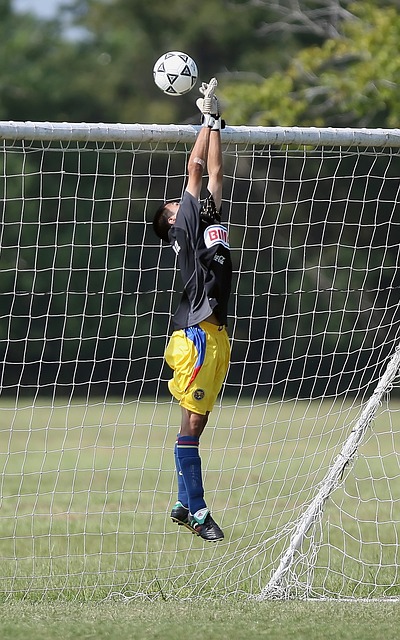 拉重要的考 拉重要的考