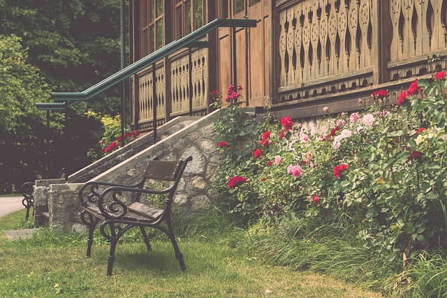 战术策略 战术策略