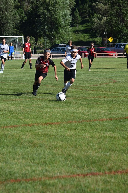 不同的方式 不同的方式