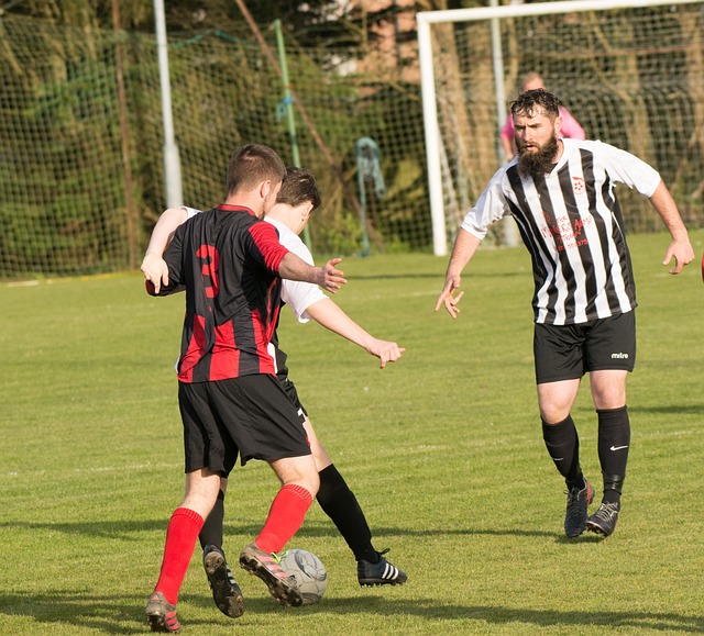 庭觀與傳統 庭觀與傳統