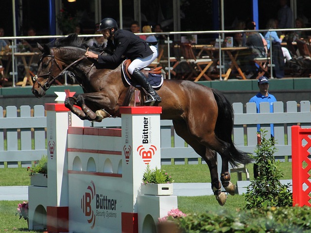 映出国际球 映出国际球